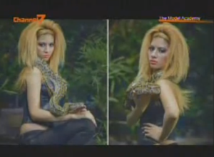 Myanmar Model Academy Reality TV Show